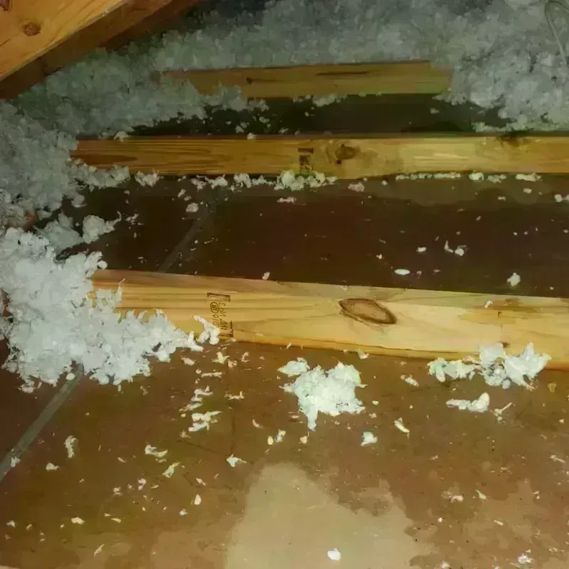 Attic Water Damage in Wessington Springs, SD