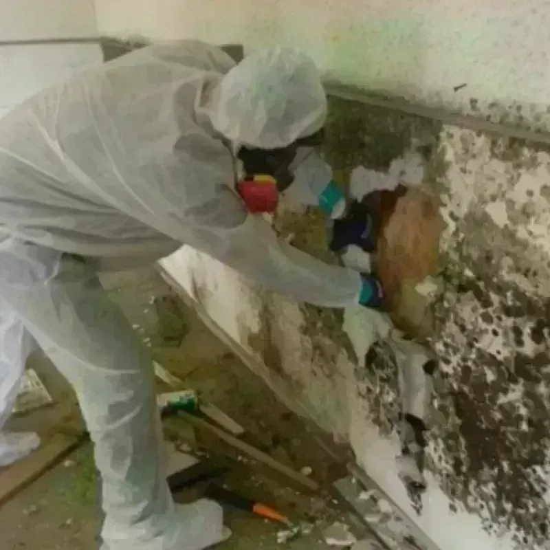 Mold Remediation and Removal in Wessington Springs, SD